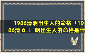 1986清明出生人的命格「1986清 🐠 明出生人的命格是什么」